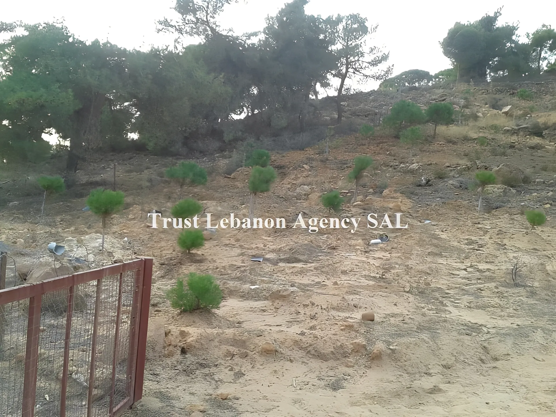 Land for Sale in Hasbaya, Al kfeir