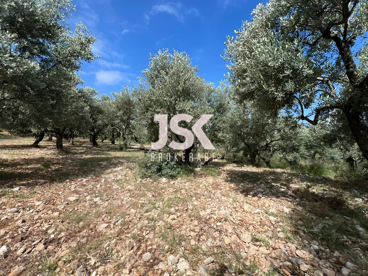 Land for Sale in Madfoun , Lebanon