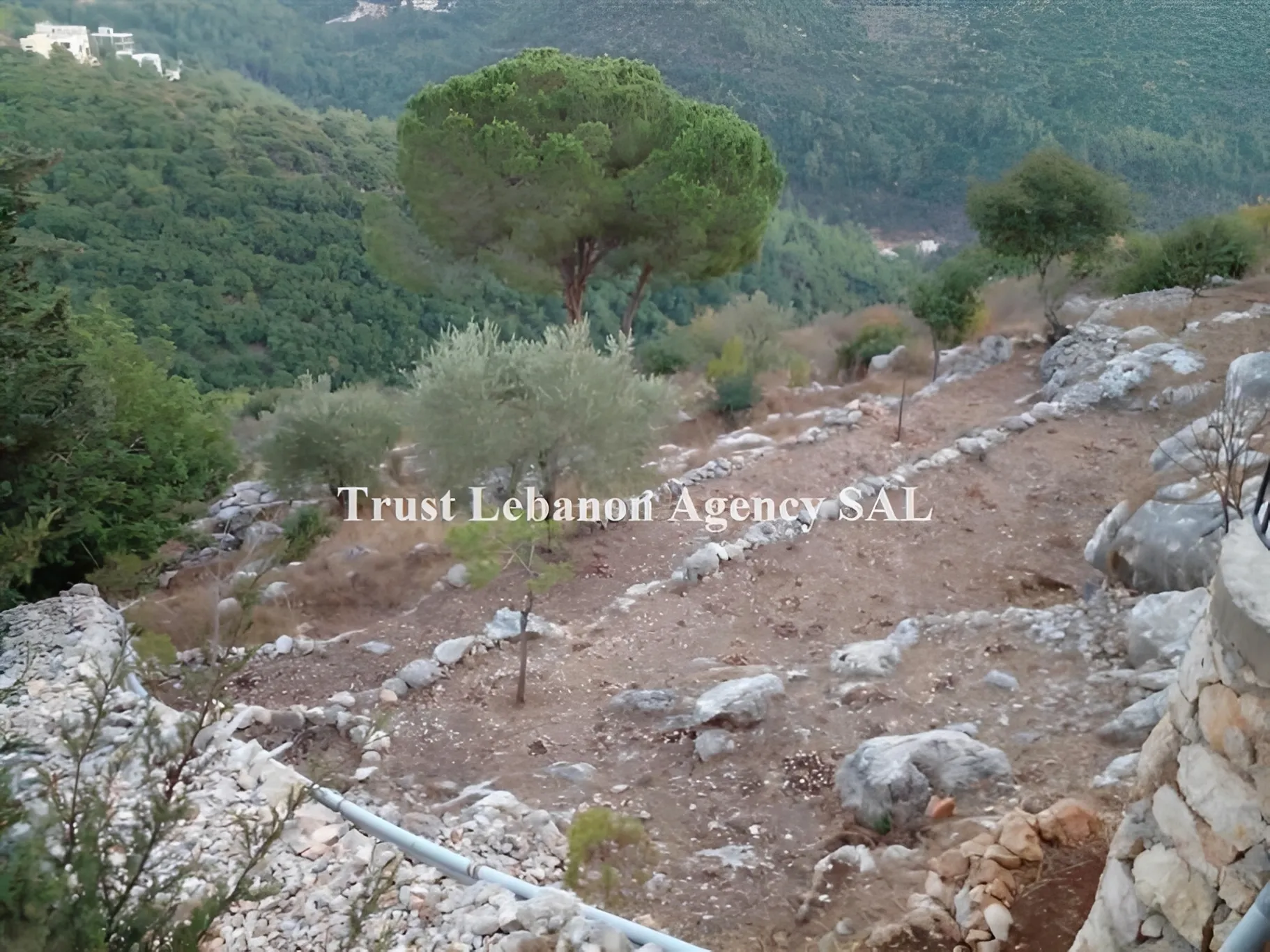 Land for Sale in Chouf Chahim