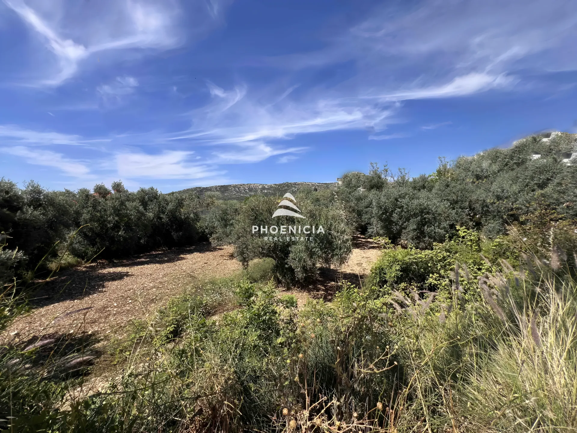 Land for Sale in Batroun