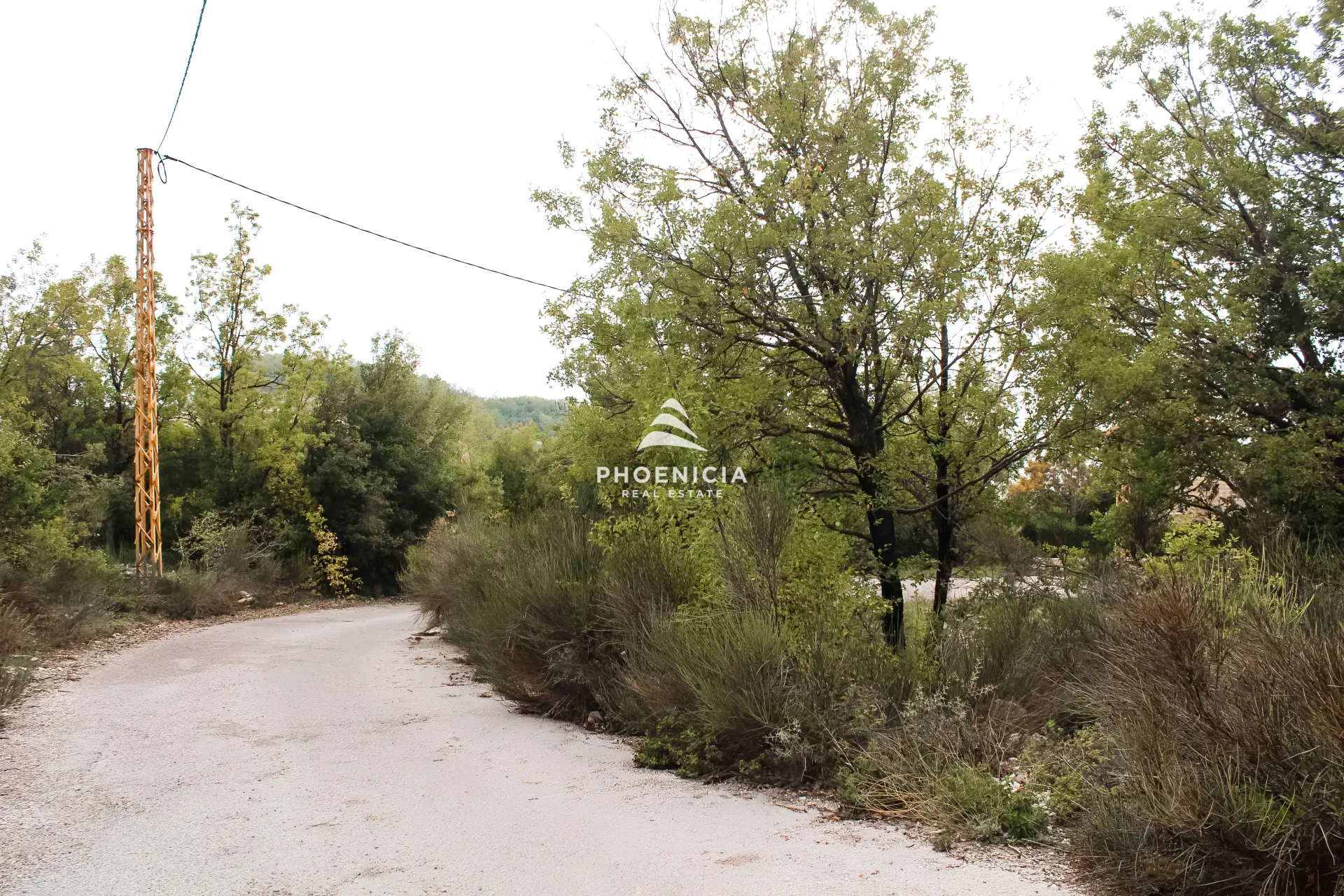 Land for Sale in Aannaya