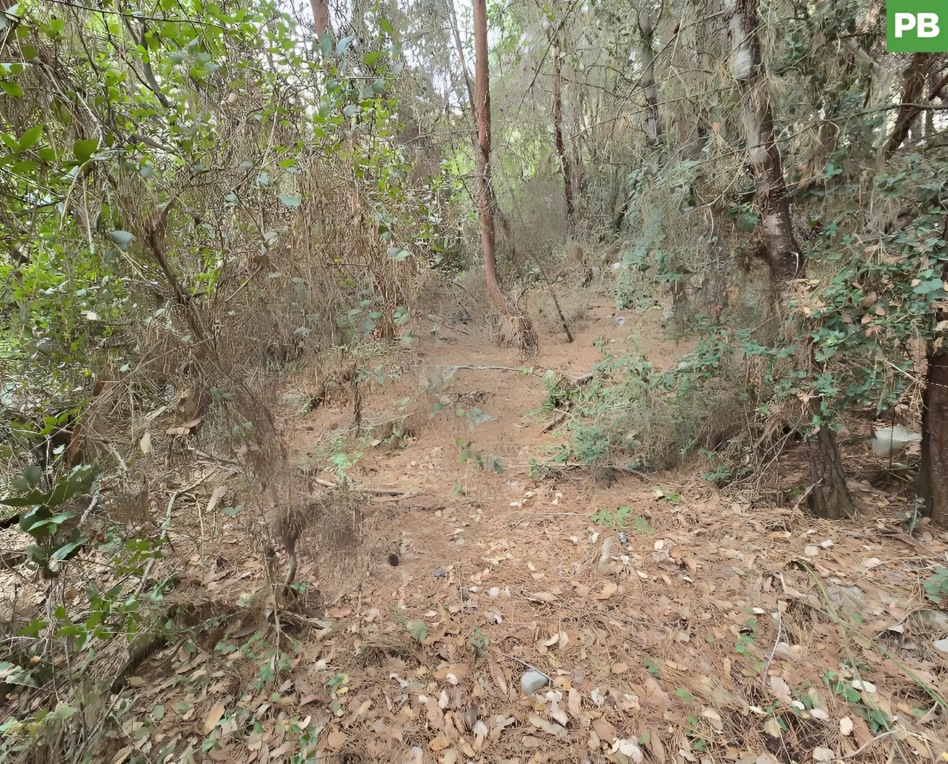 Land for Sale in Cornet Chahwan, Lebanon