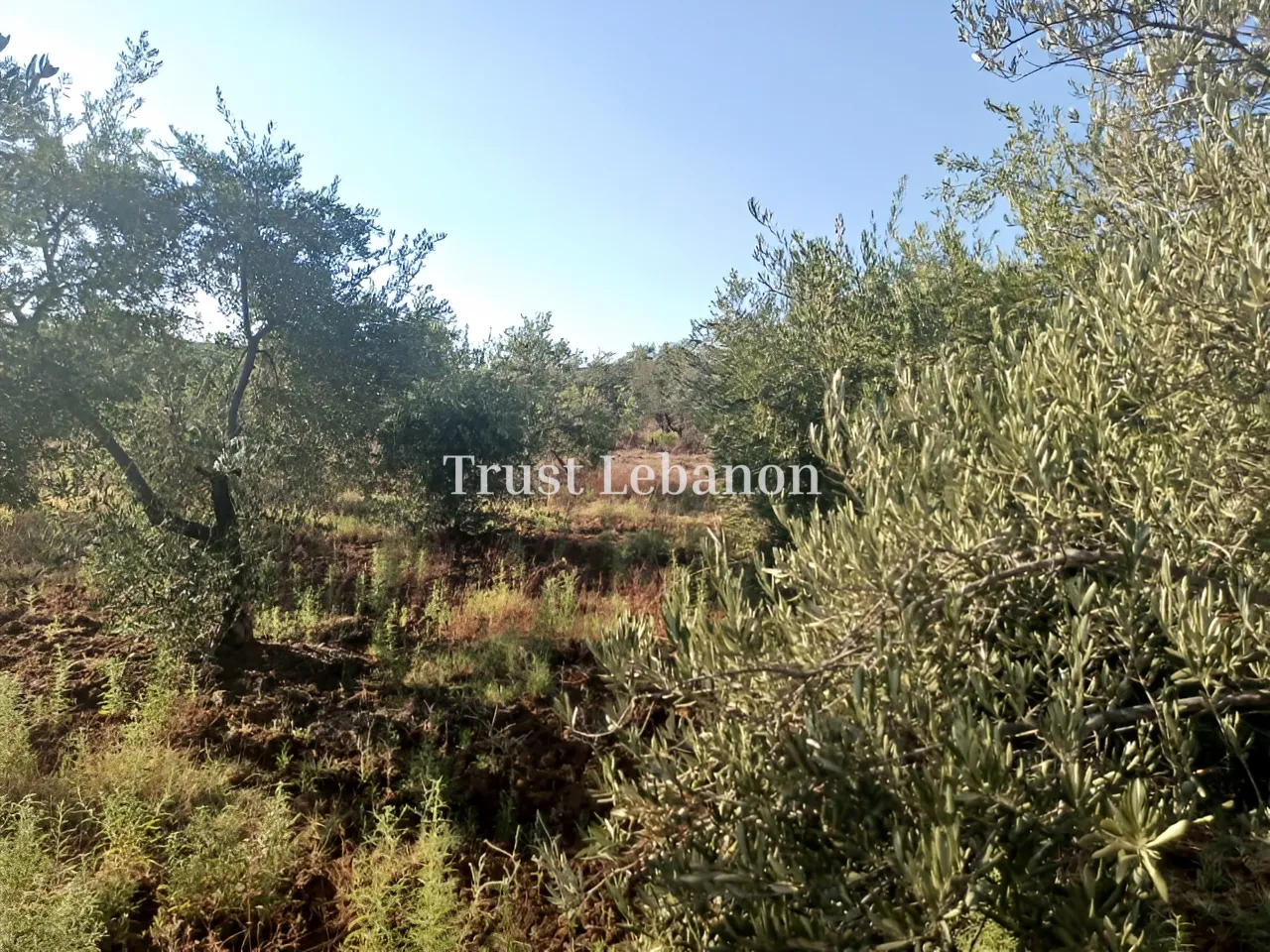 Agricultural Land for sale in Kfeir, Lebanon
