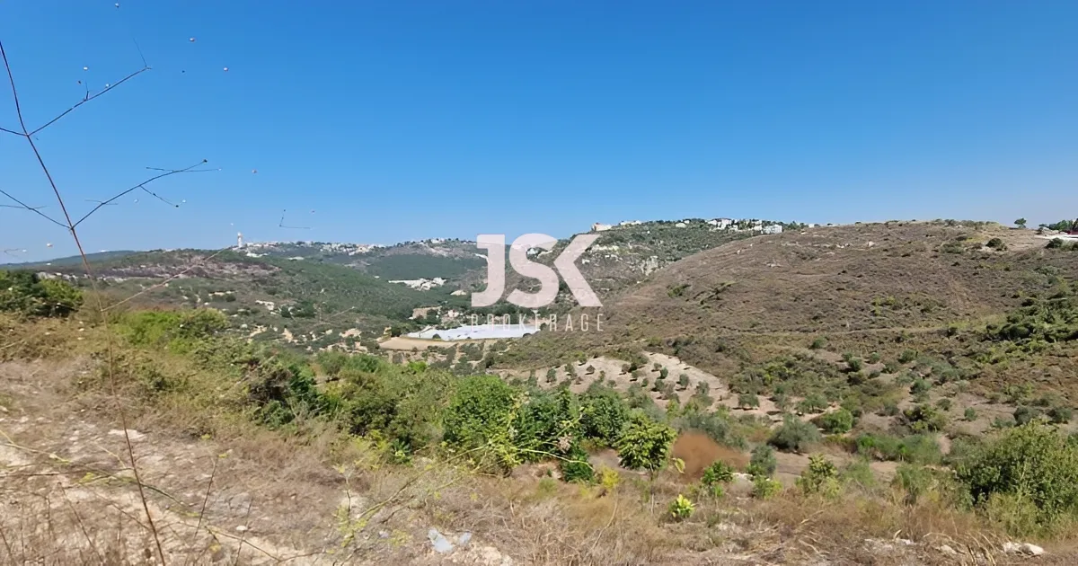 Land for Sale in Basbina, Lebanon