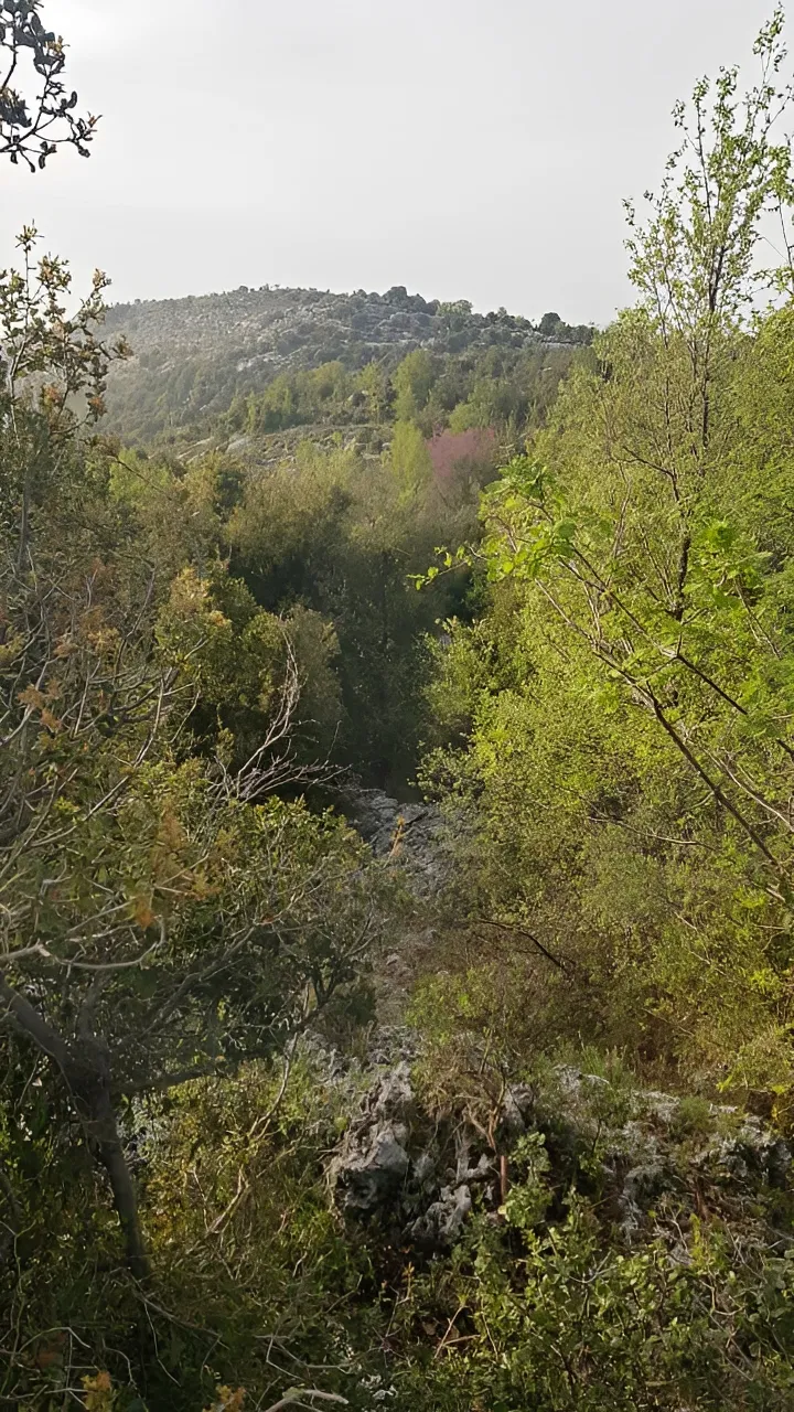 Land for Sale in Lehfed