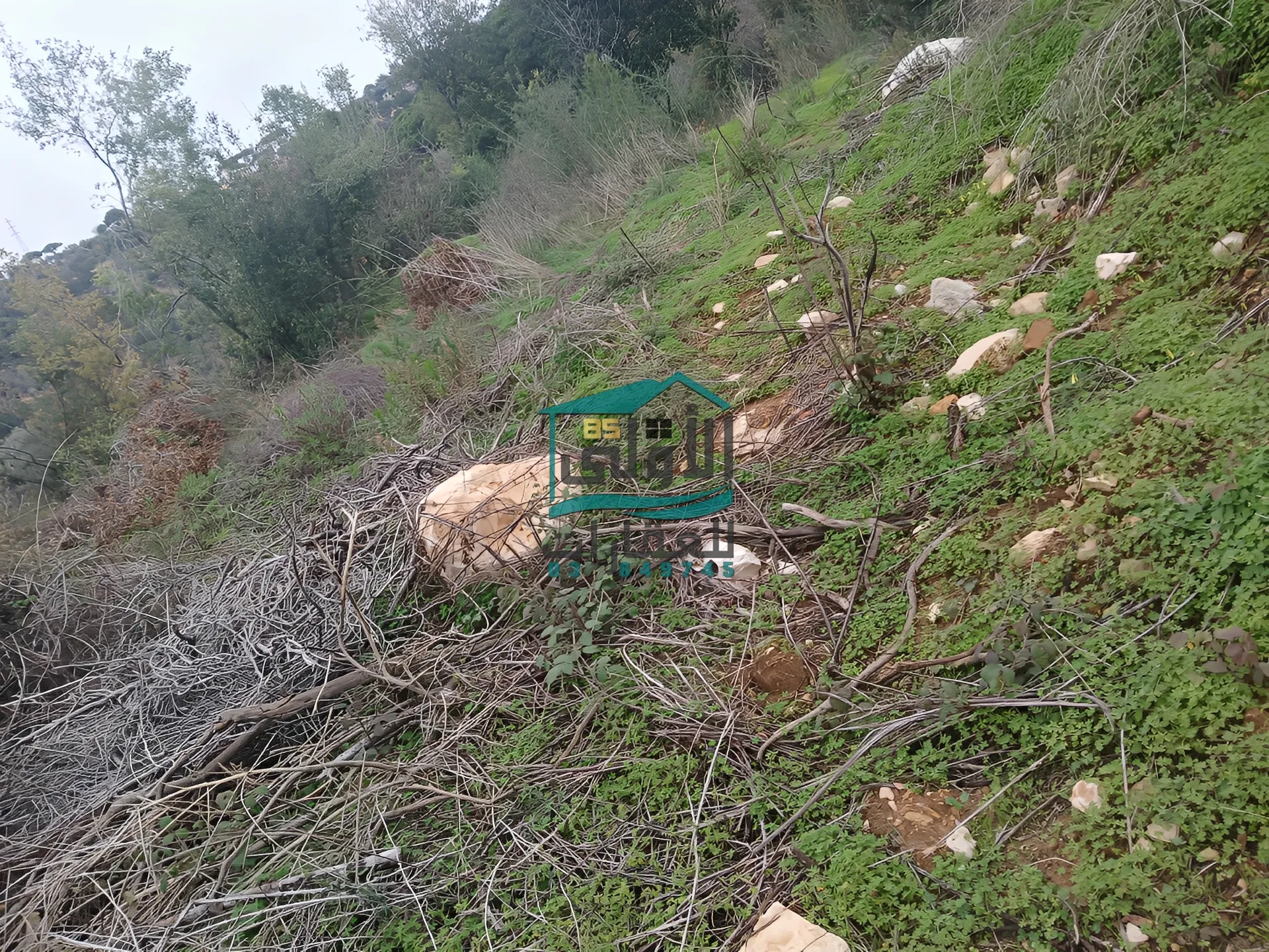 Land in Daqqoun, lebanon