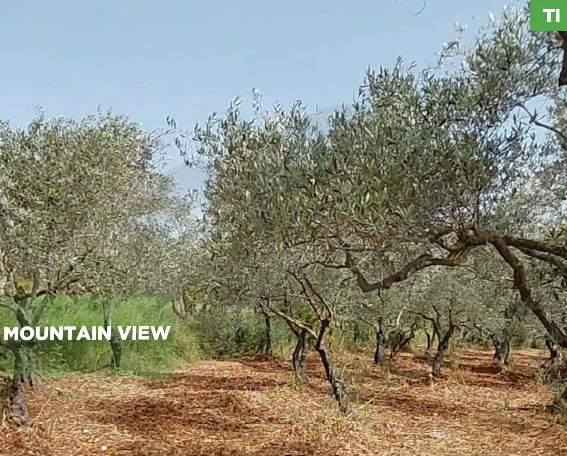 Land for Sale in Koura