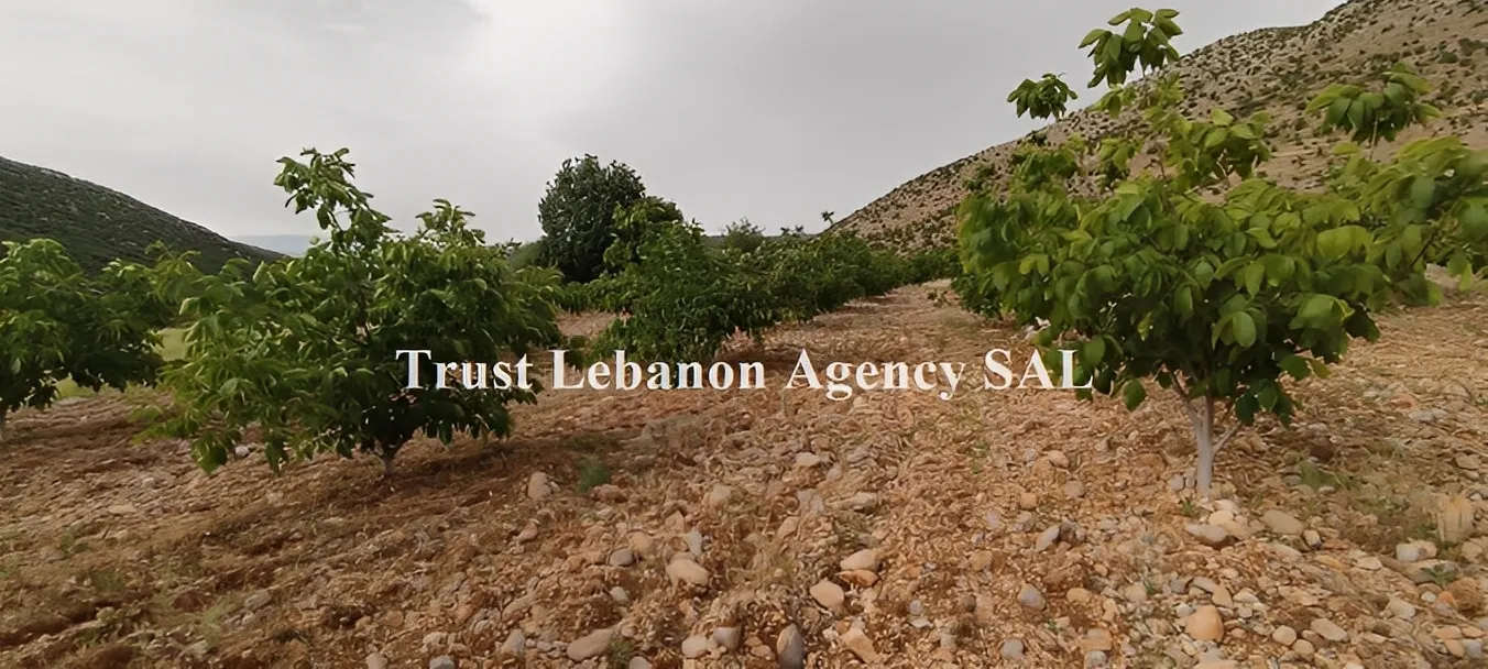 Land for Sale in Rashaya