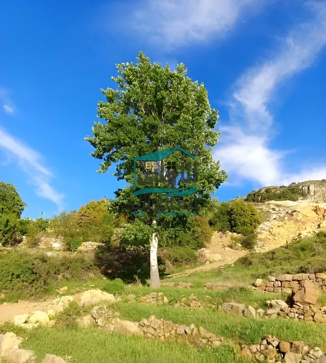 Land in عين زحلتا، lebanon