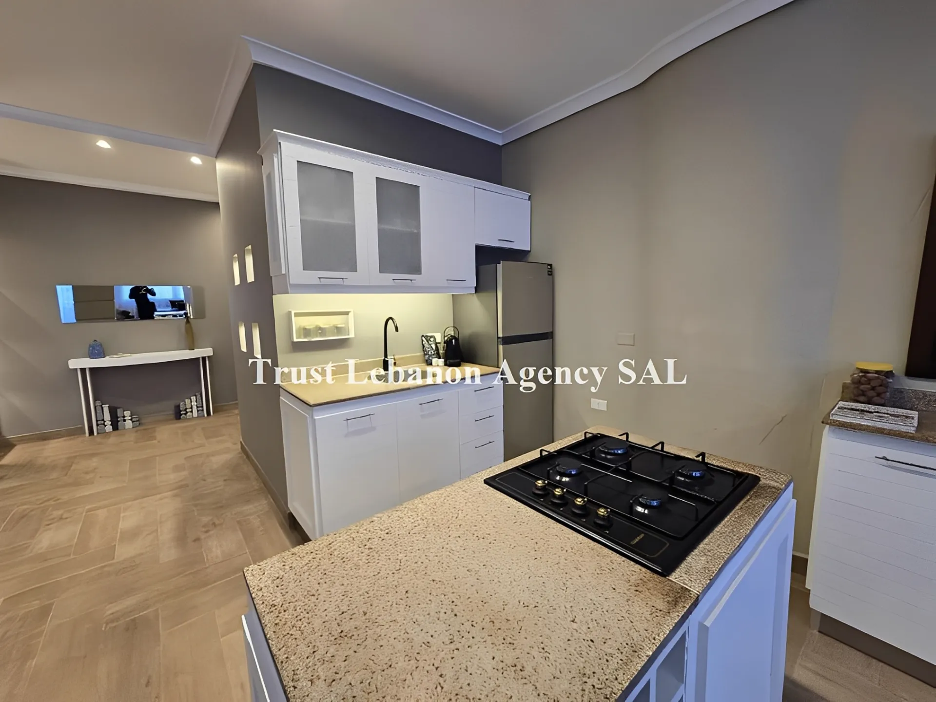 Apartment for Rent in Ashrafieh Beirut Lebanon