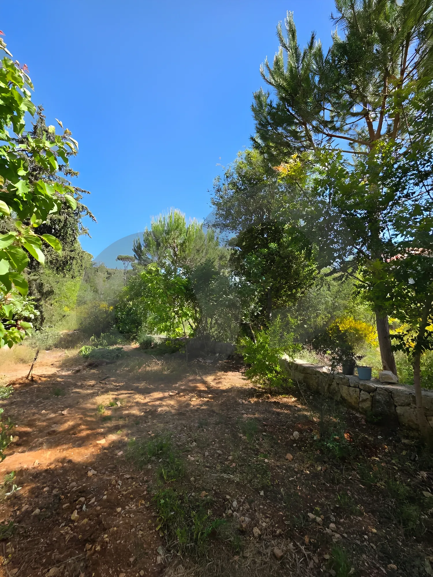 Villa for Sale in Aley