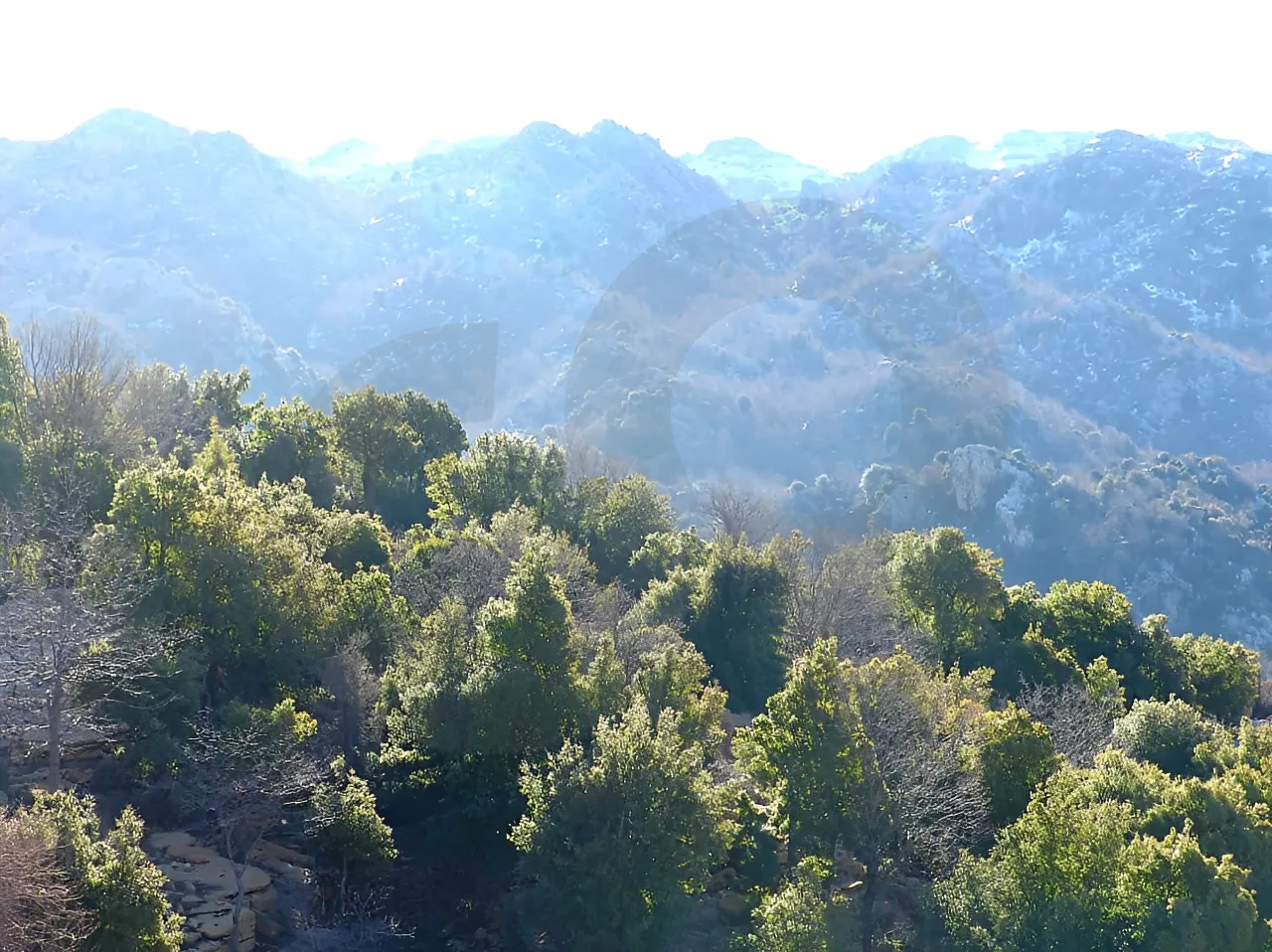 Land for Sale in Ehmej