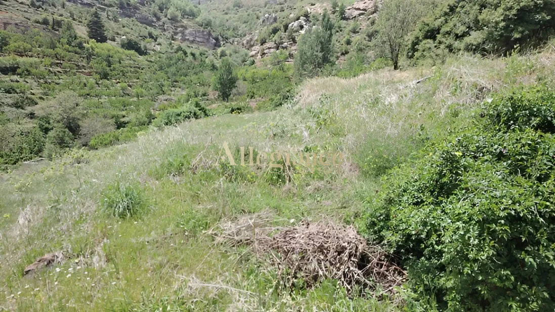 Residential Land for sale in Tannoura, Lebanon