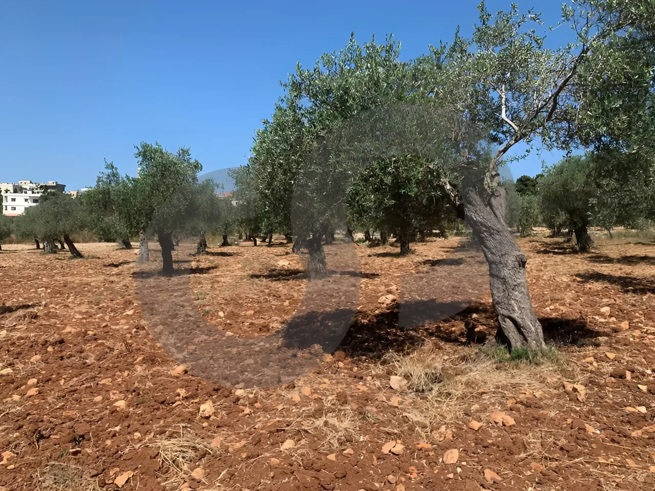 Land for Sale in Koura