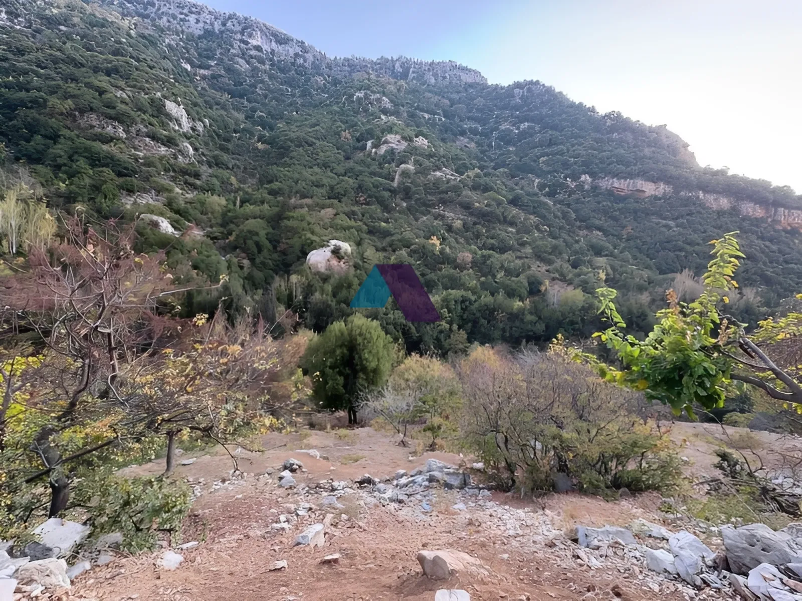 Land for Sale in Tannourine El Tahta