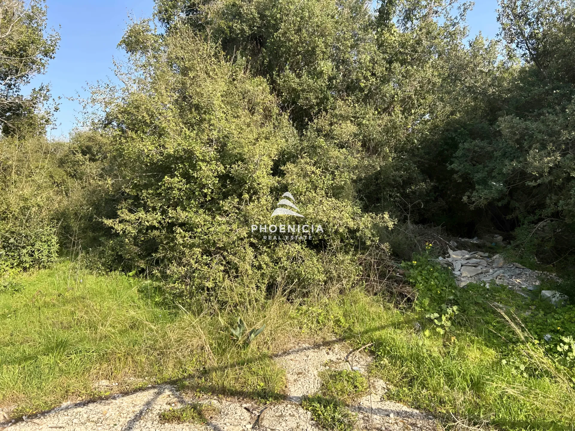 Land for Sale in Bouar, Lebanon