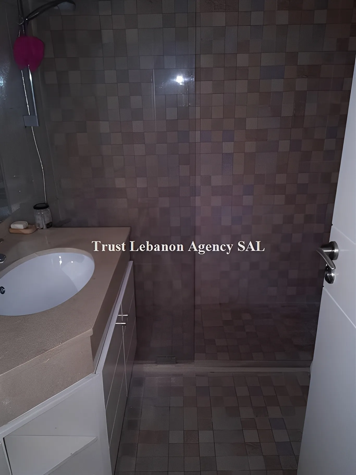 Apartment for Rent in Ashrafieh Beirut Lebanon