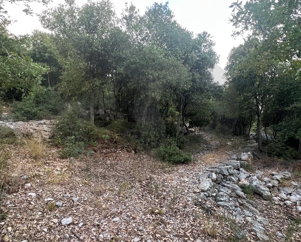 Land for Sale in Aabeidat