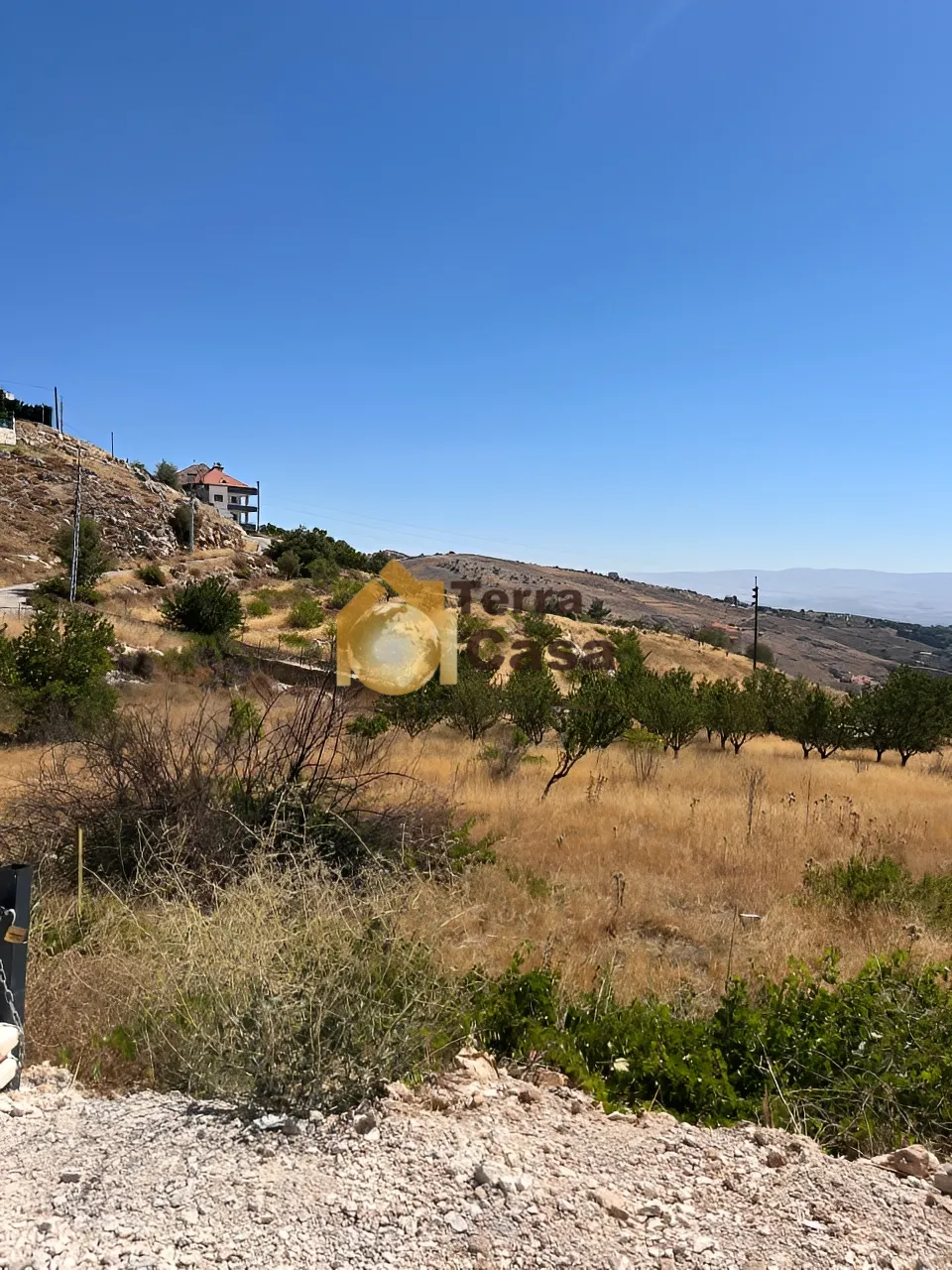 Land for Sale in Hazzerta