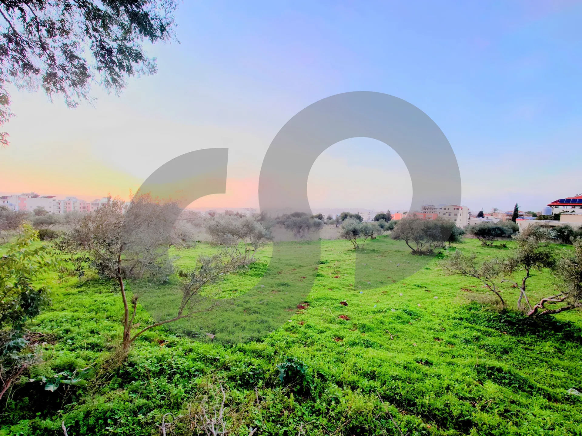 Land for Sale in Majdalaya