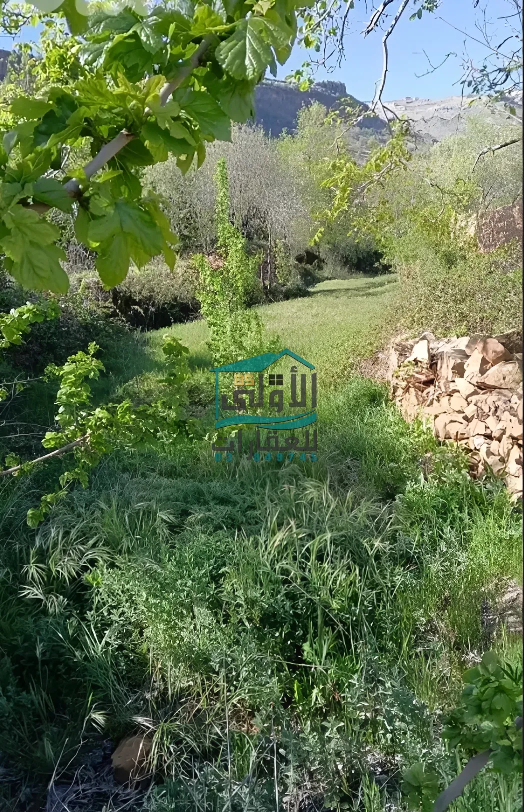 Land in مغيره، جبيل، lebanon