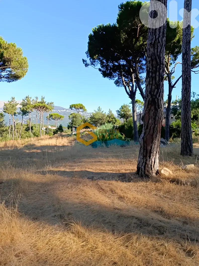 Land for Sale in Zaraoun