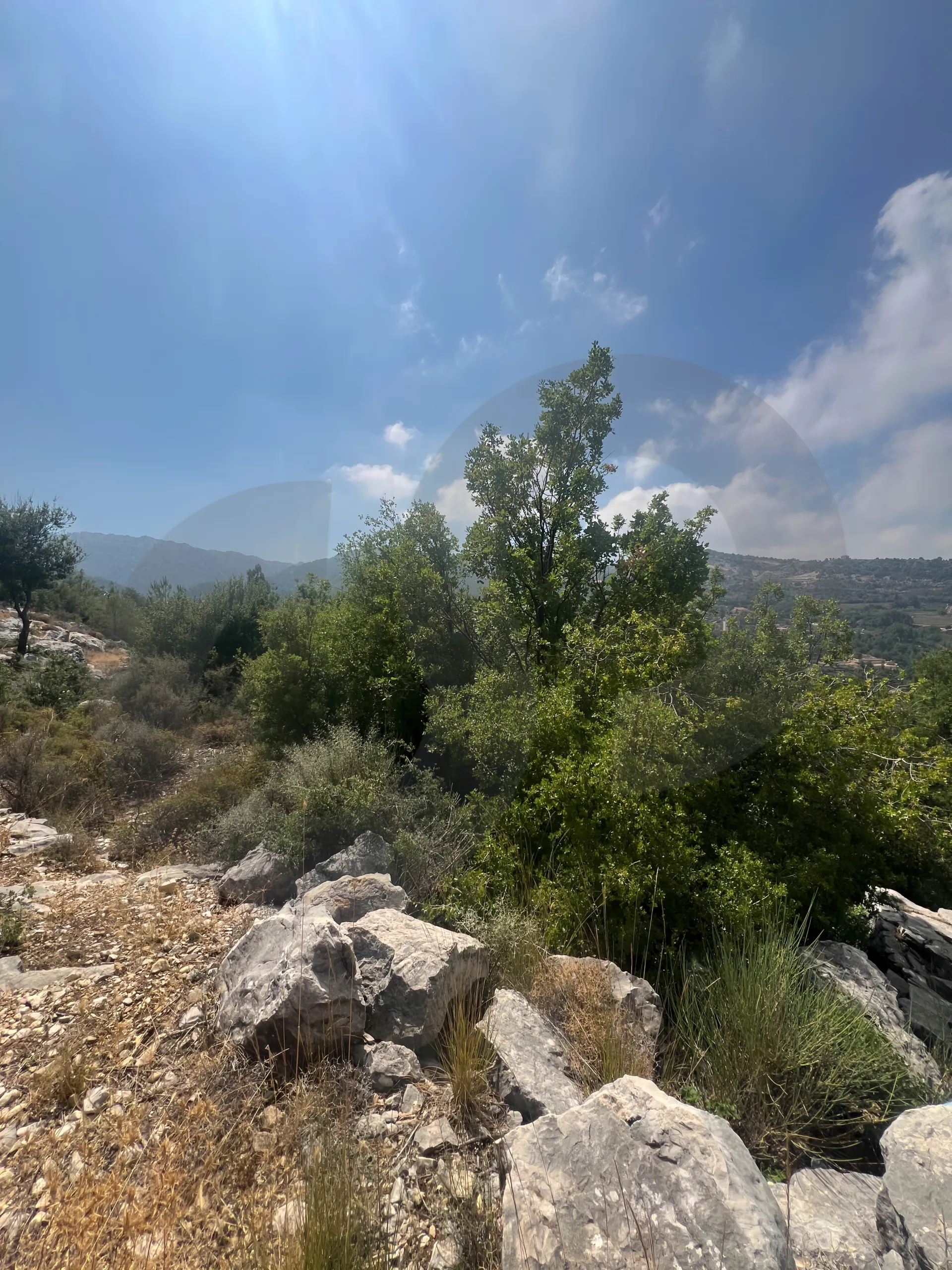 Land for Sale in Byblos