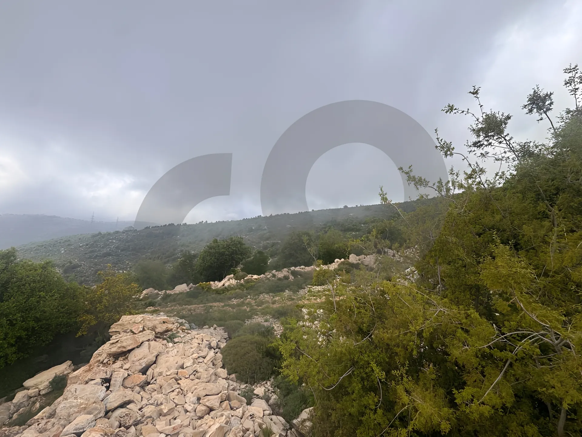 Land for Sale in Aabeidat
