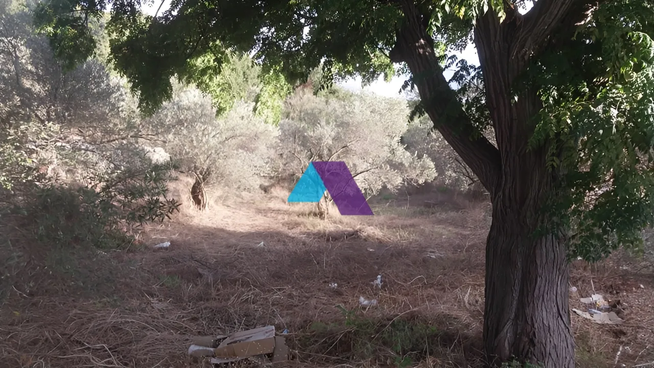 Land for Sale in Batroun