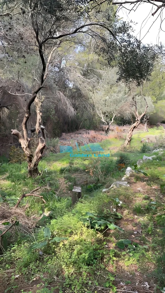 Land for Sale in Aley, Lebanon