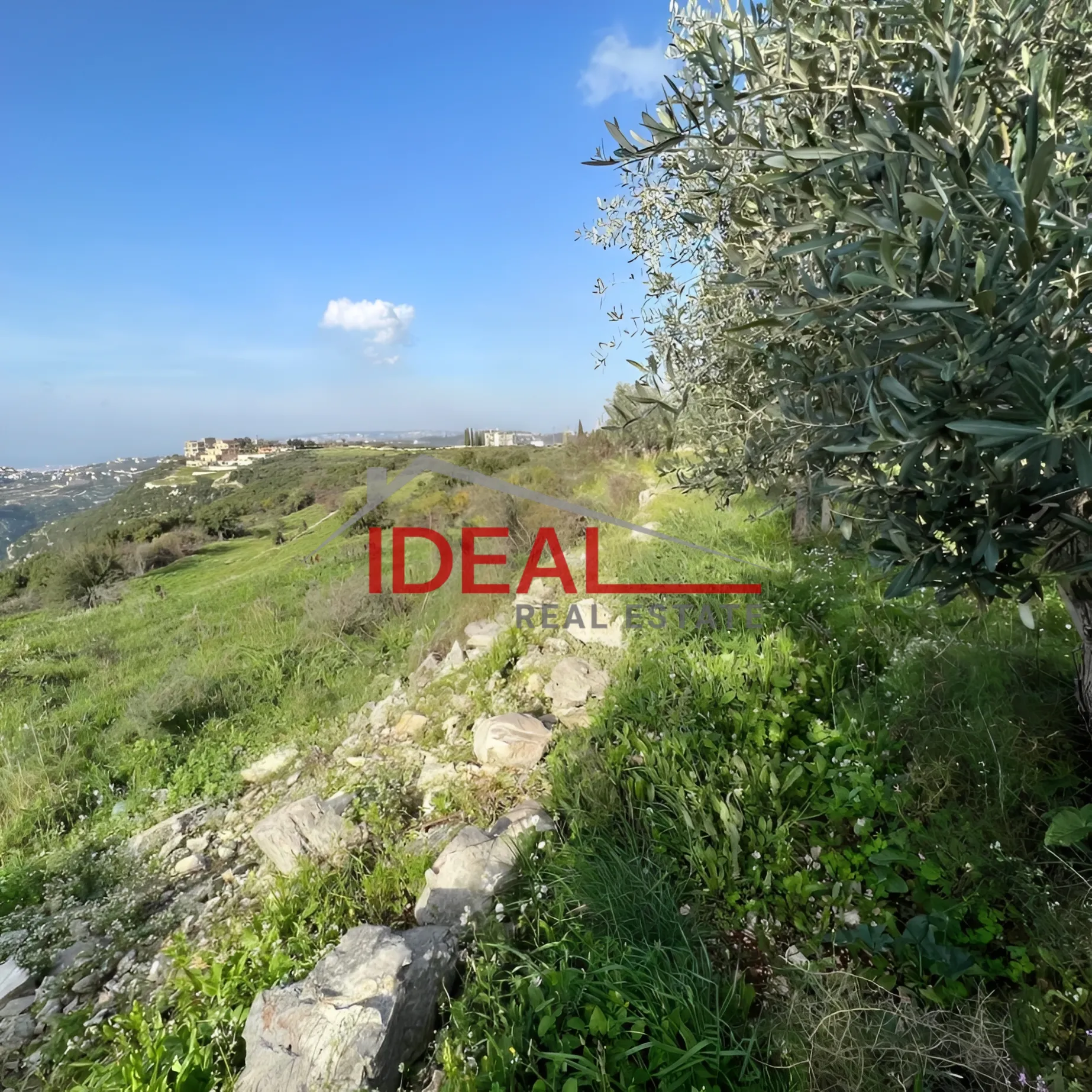 Land for Sale in Rachkida, Lebanon
