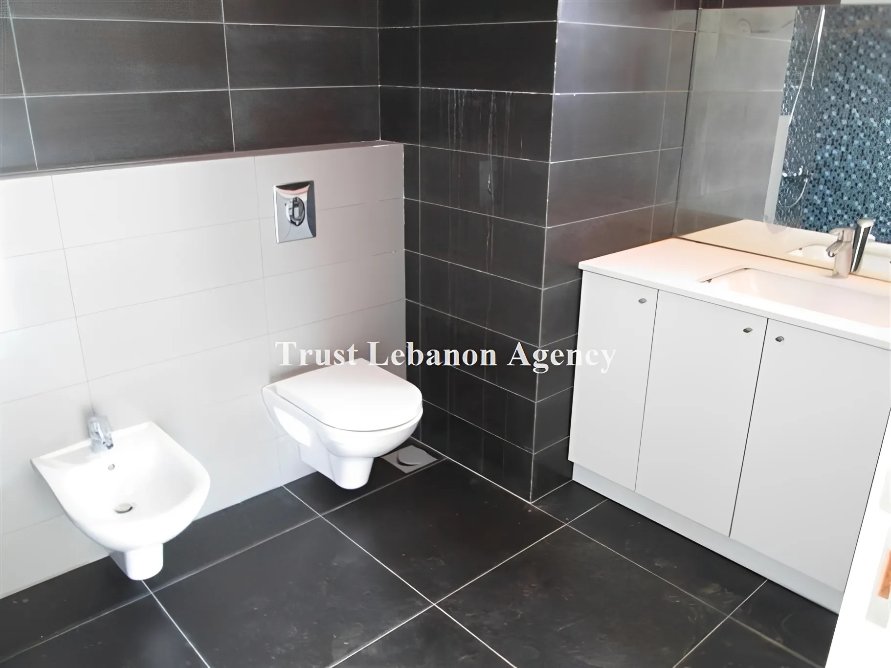 Apartment for Sale in Metn Al Biyada Lebanon