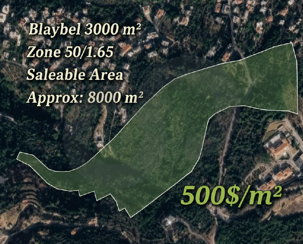 Land for Sale in Blaybel