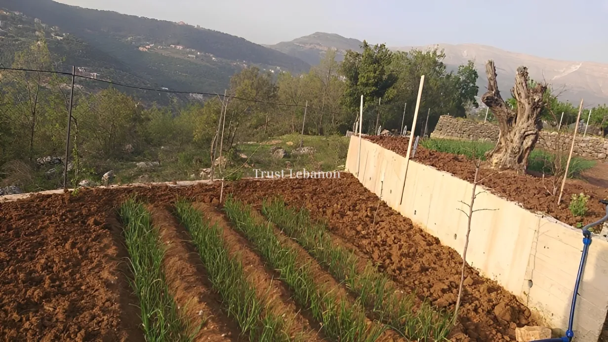 Residential Land for sale in Bteghrine, Lebanon
