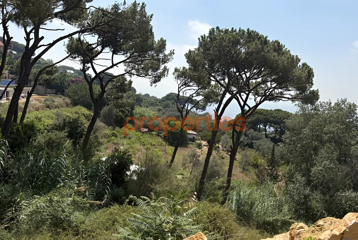 Residential Land for Sale in Ain Saadeh