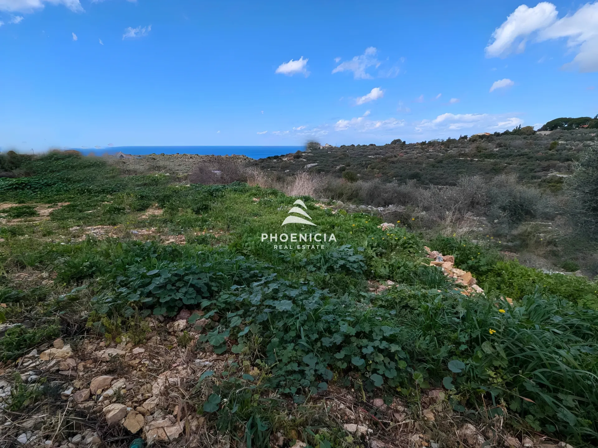 Land for Sale in Chikhane