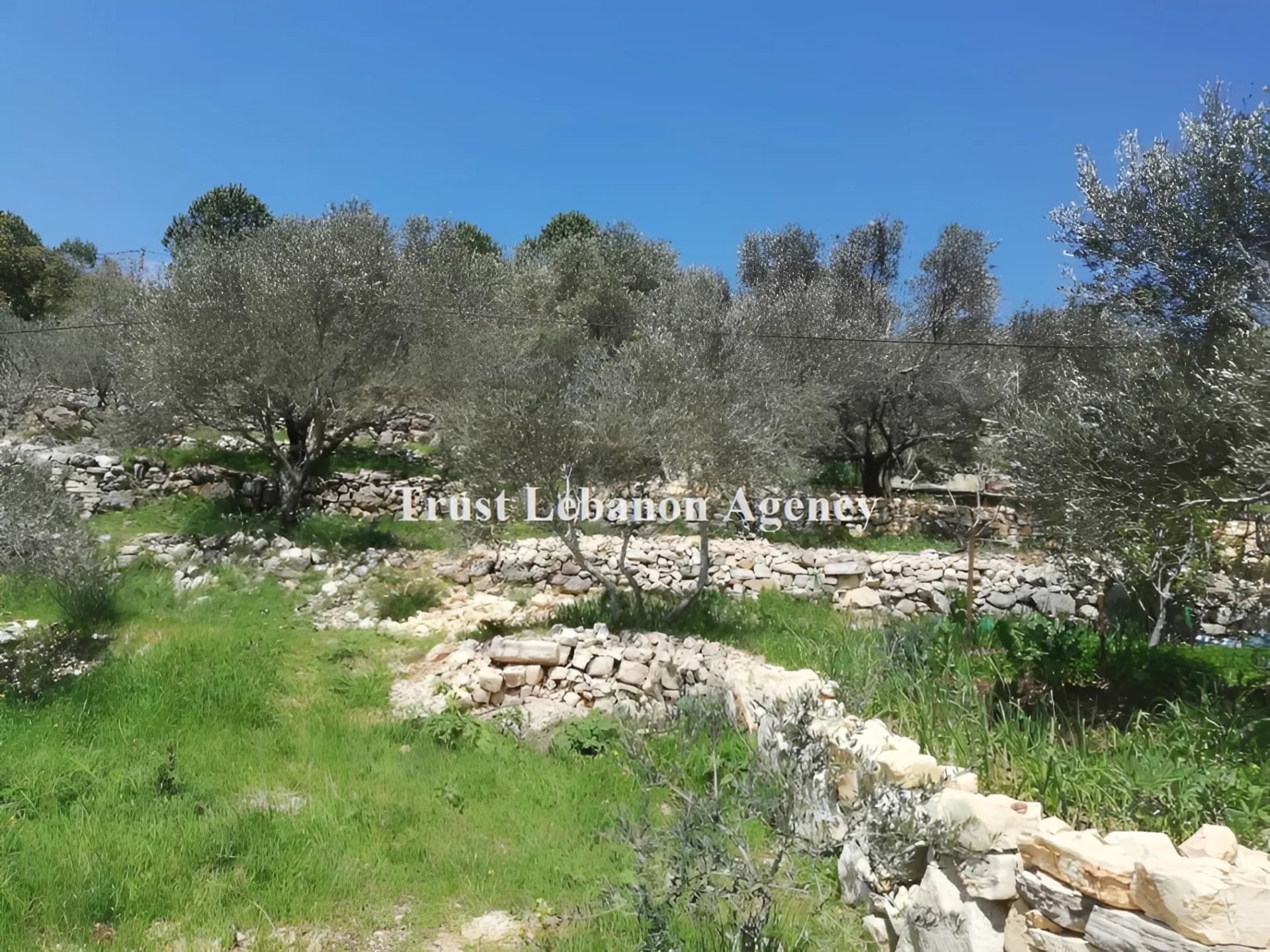 Land for Sale in Chouf Bseba Al Chouf