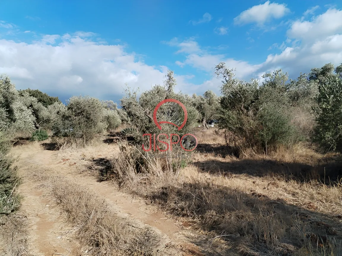 Land for Sale in Bechmizzine