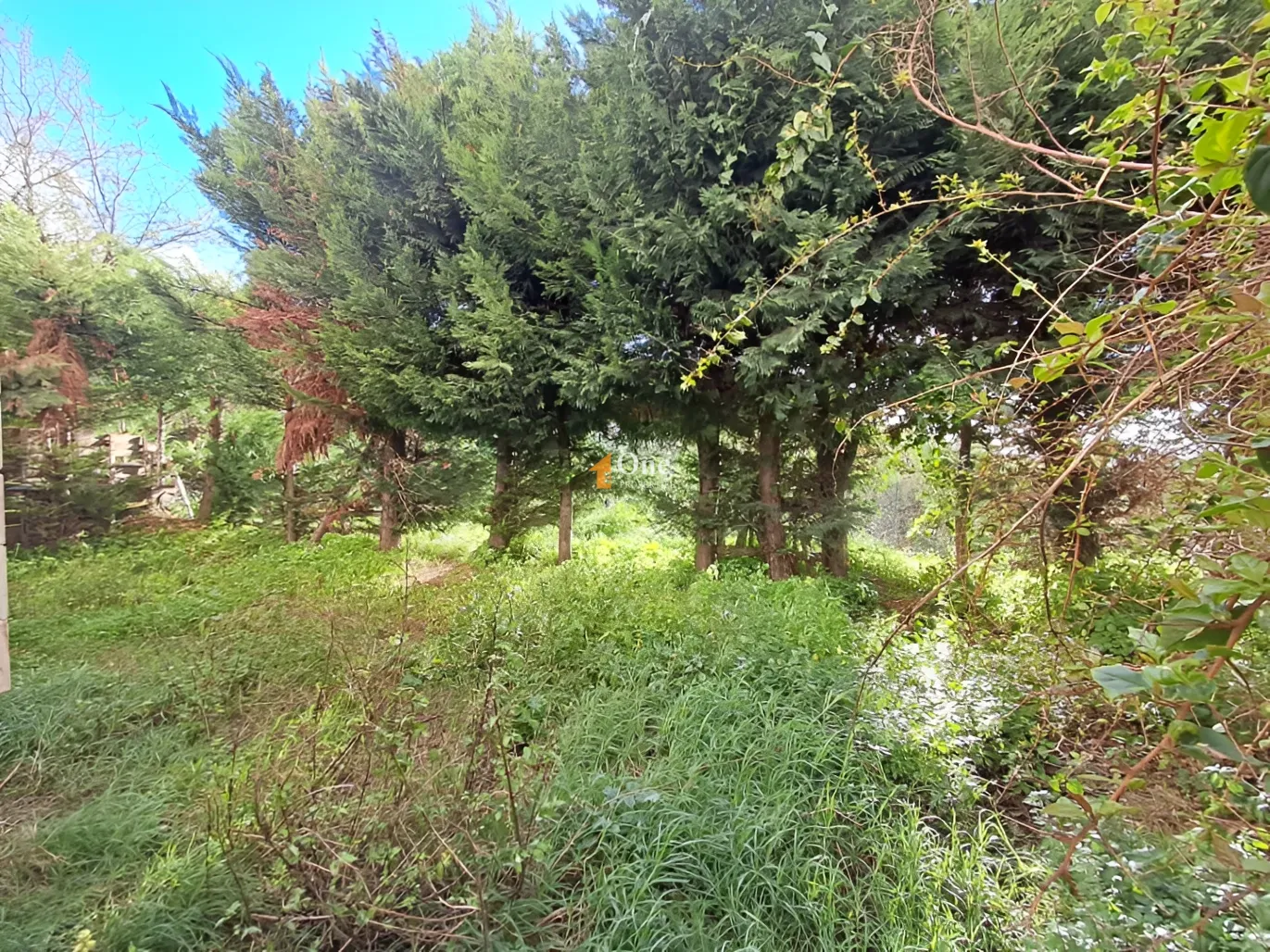 Apartment for Sale in Hboub, Lebanon - 3 bed, 3 bath