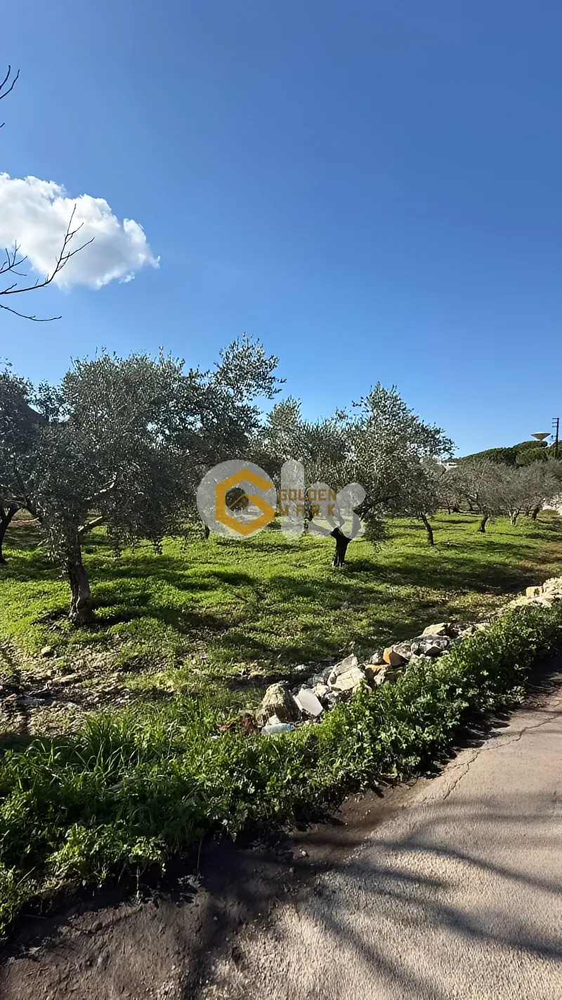 Land for Sale in Batroun
