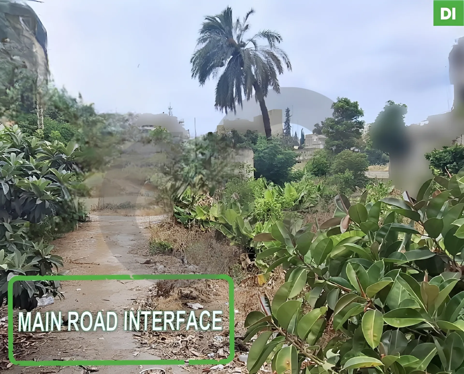 Land for Sale in Sidon, Lebanon