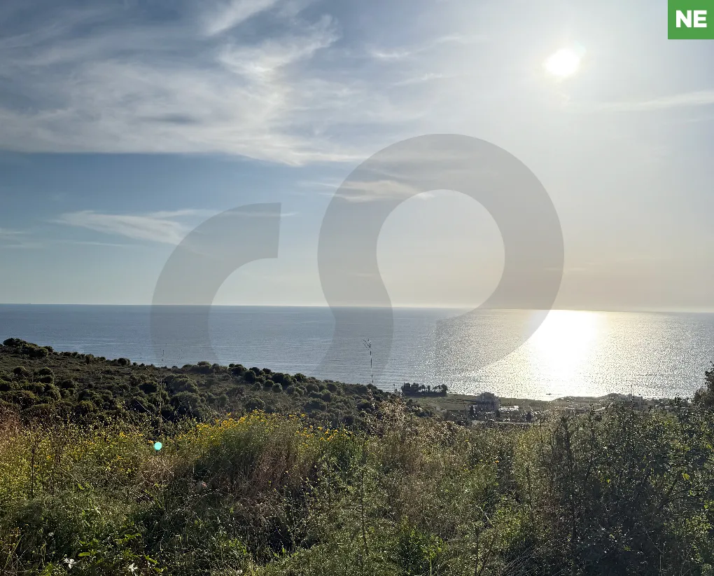 Land for Sale in Barbir