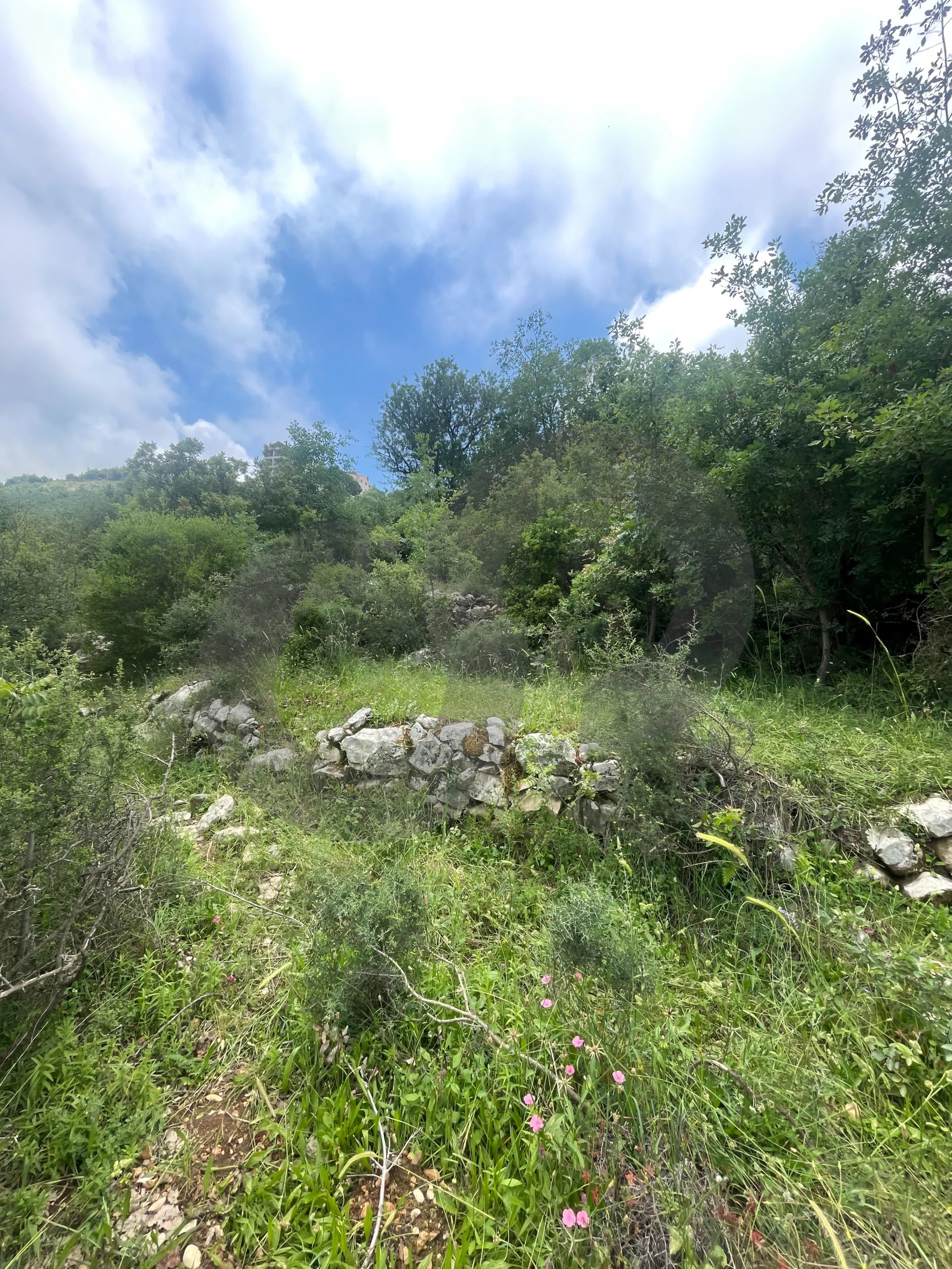 Land for Sale in Breij