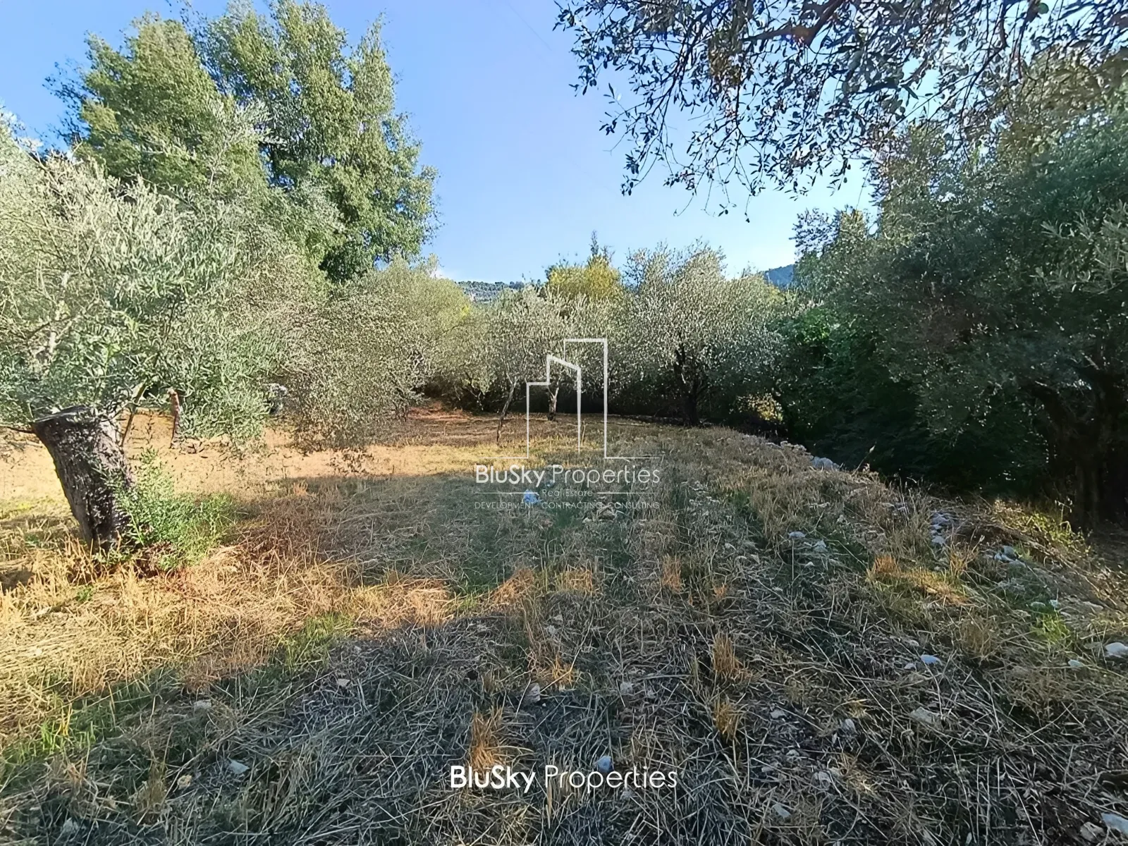 Land for Sale in Bcheili