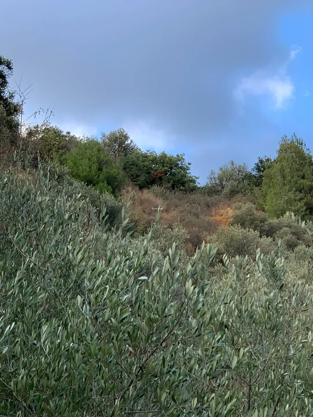 Land for sale in Haret El Sett