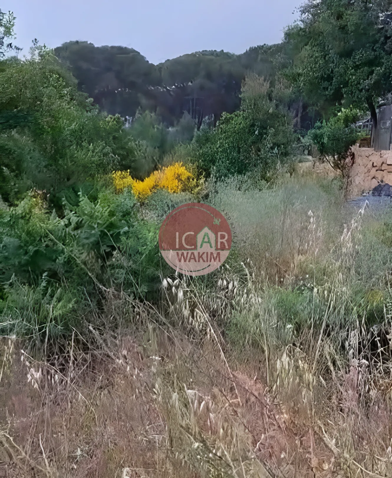 Residential Land for sale in Douma, Lebanon