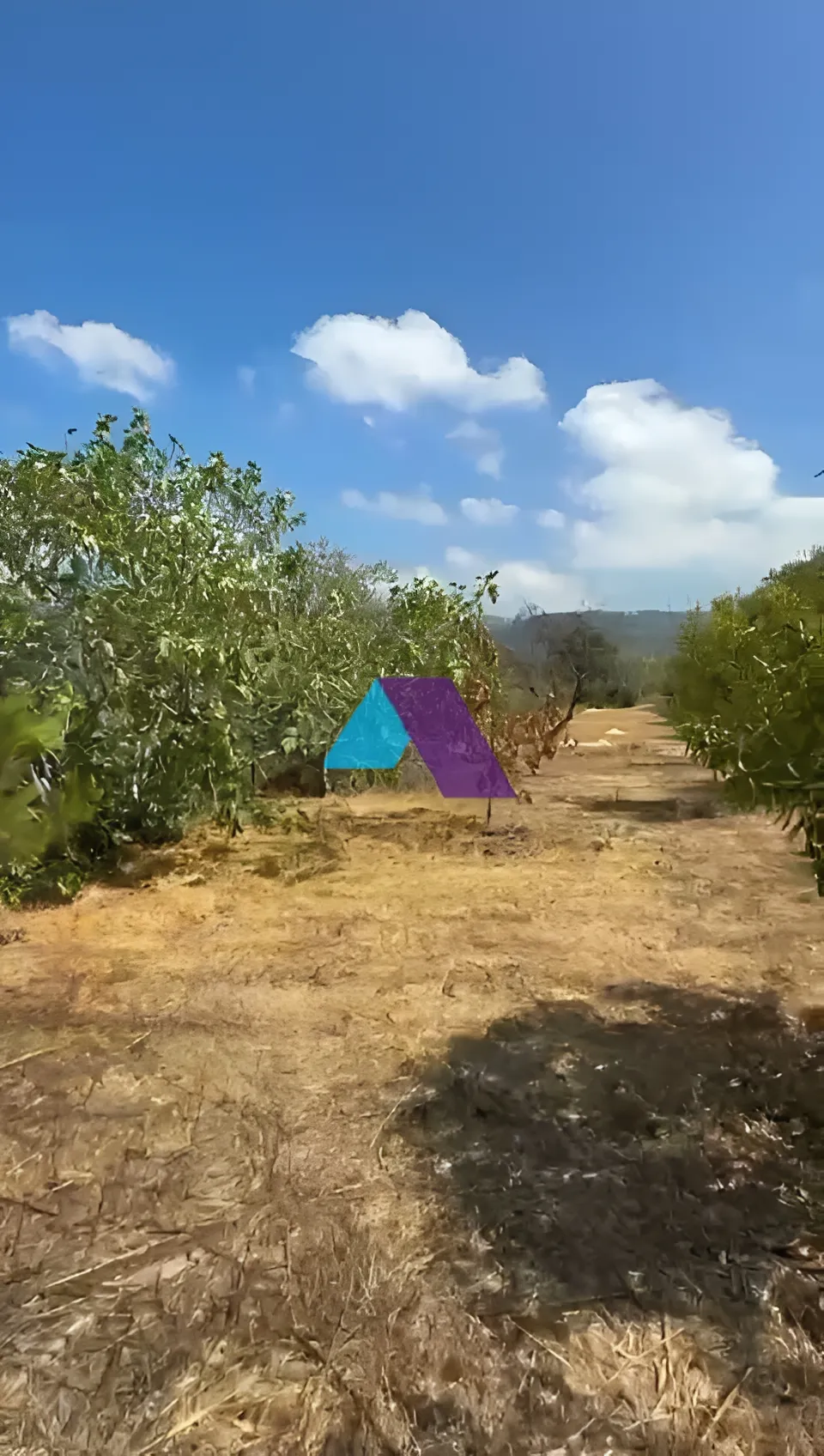 Land for Sale in Aarbaniye
