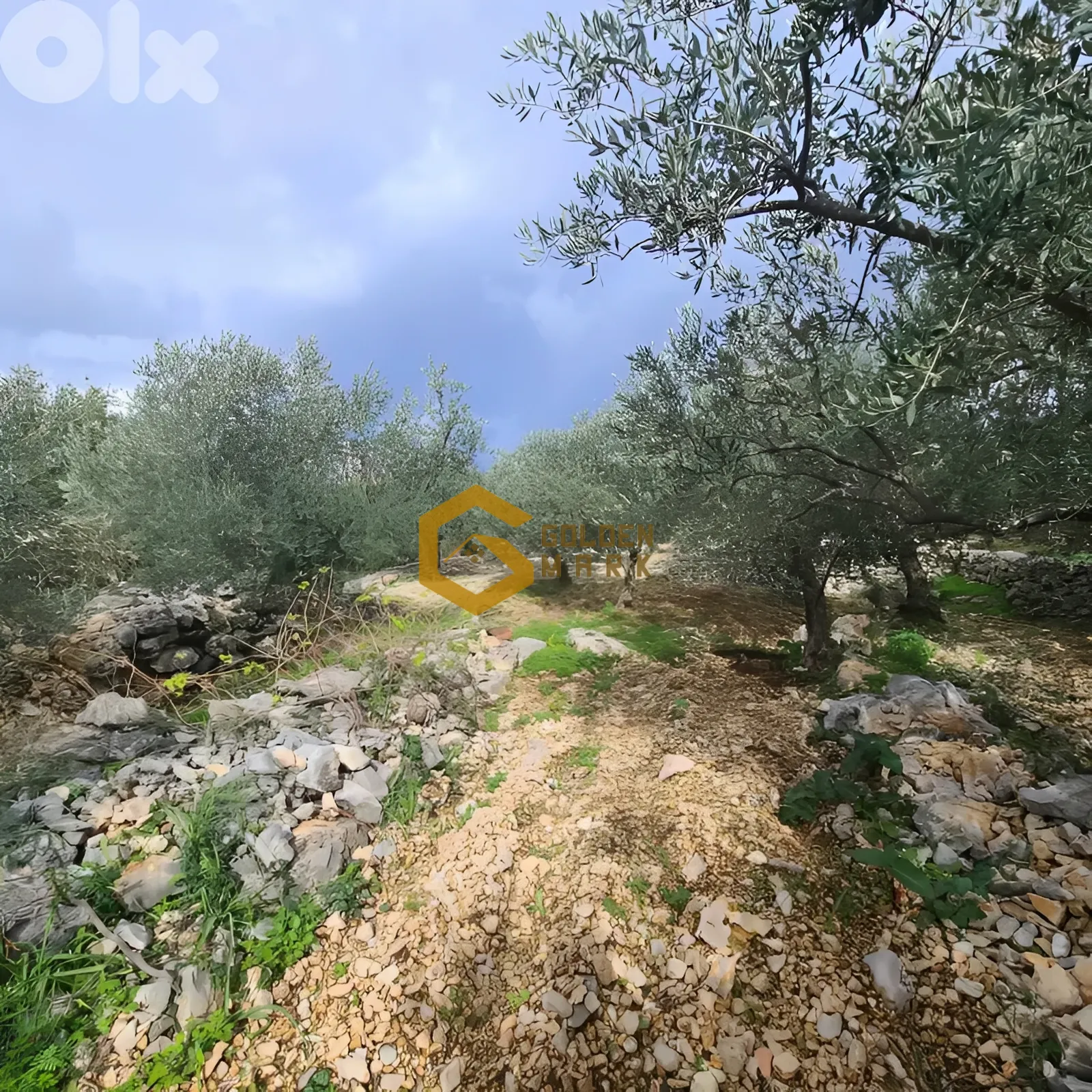 Land for Sale in Byblos