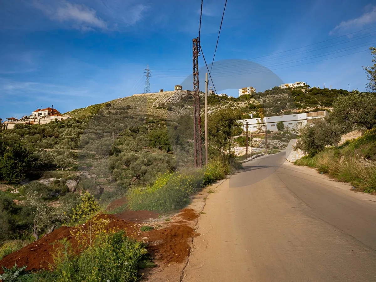 Land for Sale in Koura, Lebanon