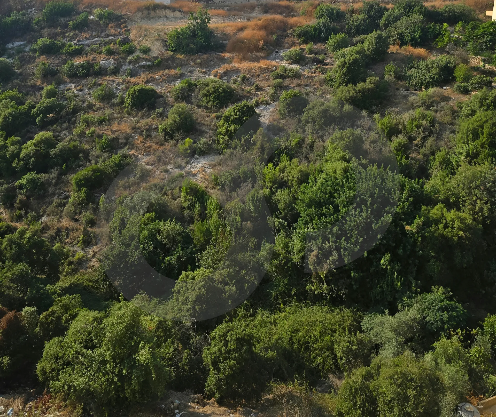 Land for Sale in Blat